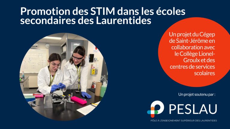 Site web STIM phase 3 (2)